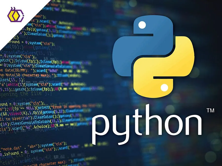 Python kursları